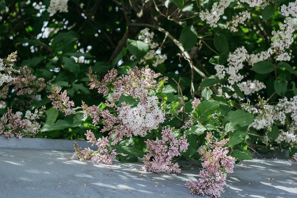 Explorez les avantages des systèmes de ventilation double flux pour améliorer l"efficacité énergétique de votre habitat